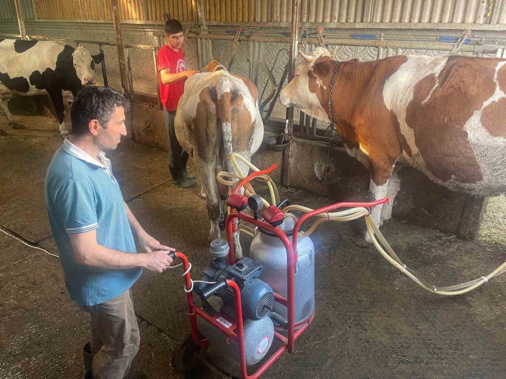 Şap ve Üç Gün Hastalığı, Et Fiyatlarını Frenledi
