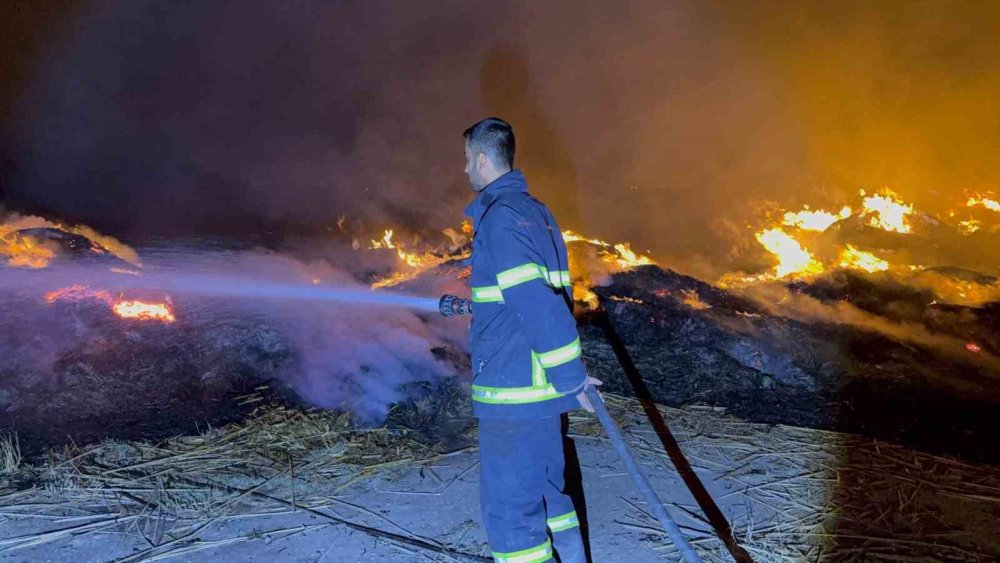 Eber kurudu toplanıp getirilen kamışlar Afyon'da yandı