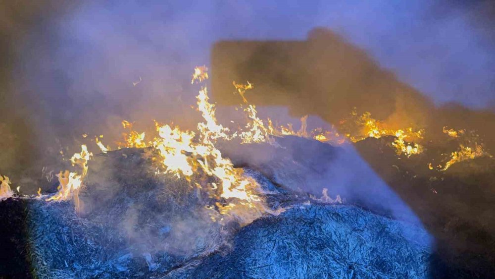 Eber kurudu toplanıp getirilen kamışlar Afyon'da yandı