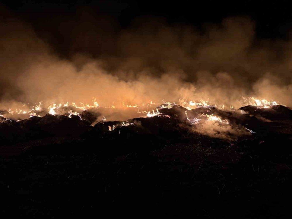 Eber kurudu toplanıp getirilen kamışlar Afyon'da yandı