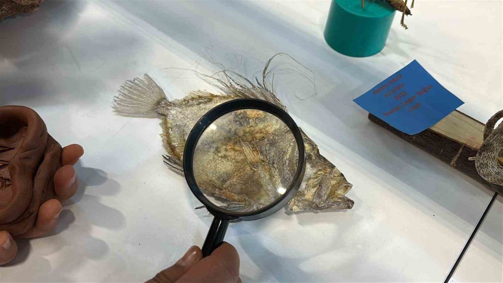 Karaman ve Konya'nın denizinden bunları çıkarıp müze yaptı