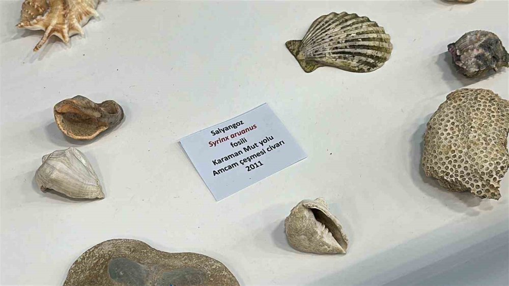 Karaman ve Konya'nın denizinden bunları çıkarıp müze yaptı