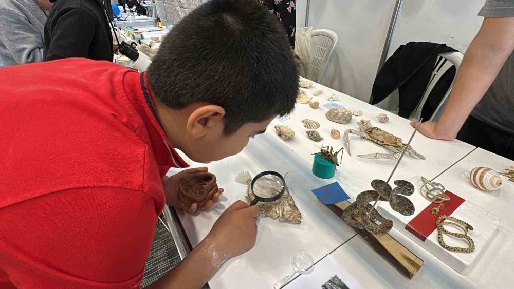 Karaman ve Konya'nın denizinden bunları çıkarıp müze yaptı