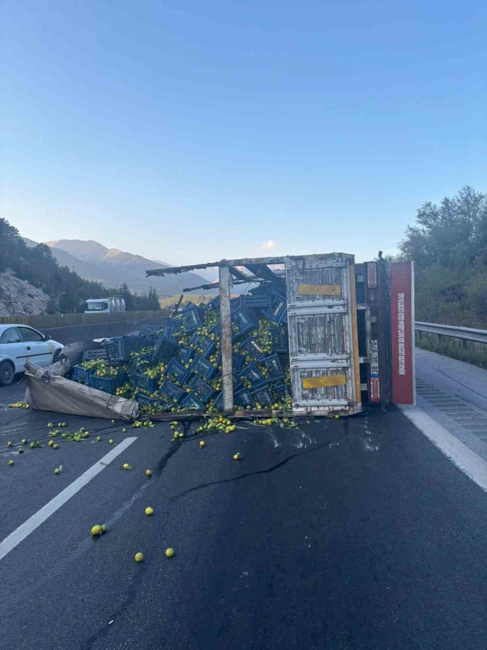 Kayseri'nin mandalinası Aspava mevkiinde kaldı