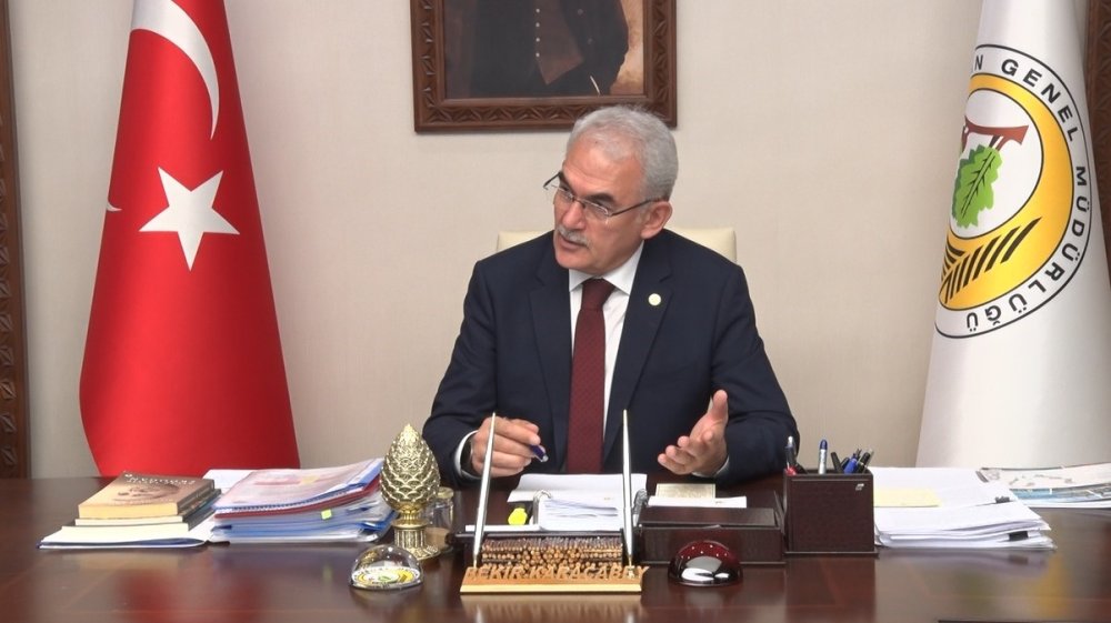 Orman yangınlarından çok canı yanan Türkiye, 75 ülkeden uzmanı bir araya getirecek