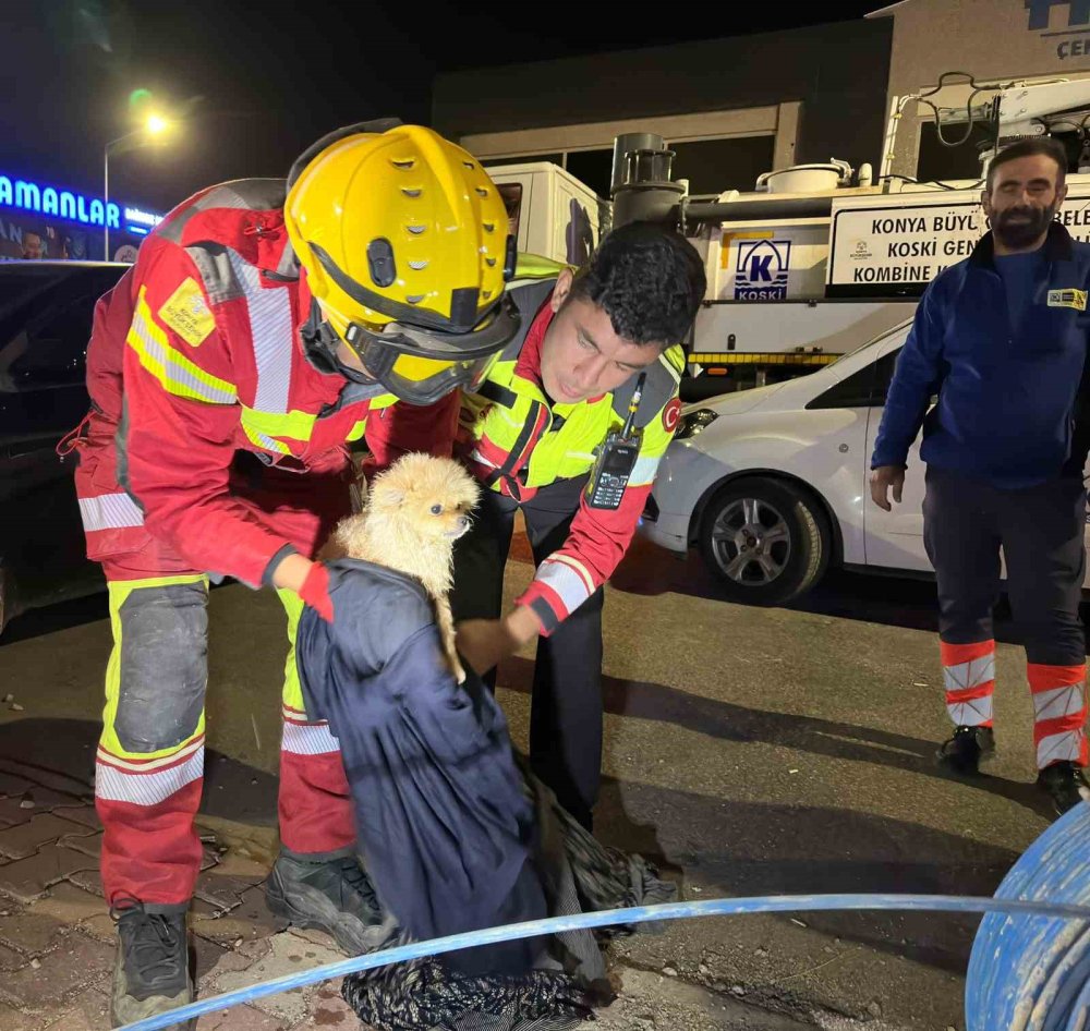 Kayıp köpek kanalizasyonda bulundu, kurtarma çalışması 6 saat sürdü