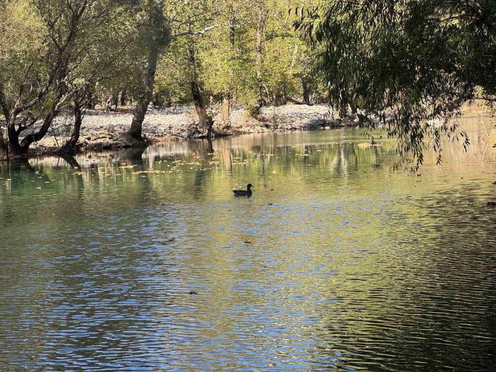 Oymapınar'ın Can Suyu Geri Döndü: Üzümdere Irmağı'nda Su Seviyesi 3 Metre Yükseldi