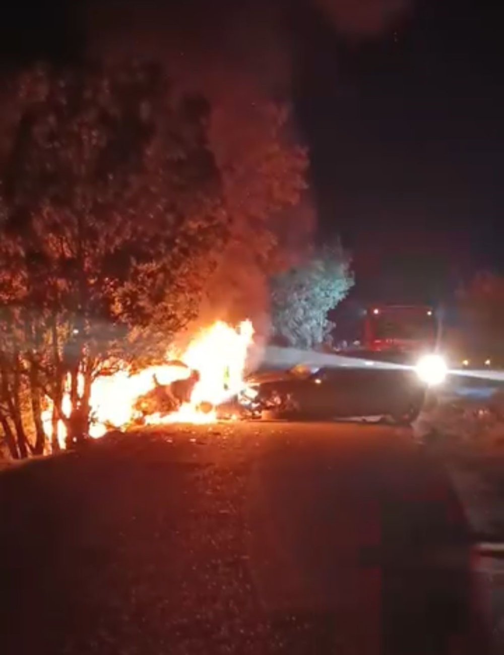 Araç alev aldı, yangın ormana sıçradı