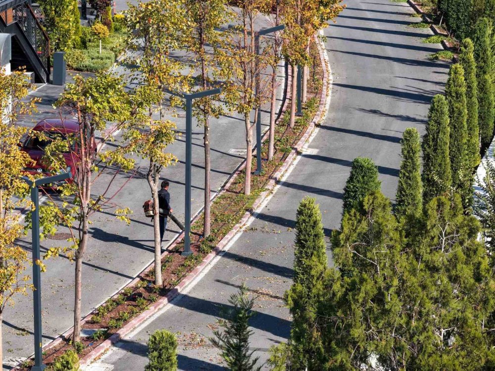 Meram'ın Yeşil Hazinesi Kışa Hazırlanıyor: Kapsamlı Bakım Başlatıldı