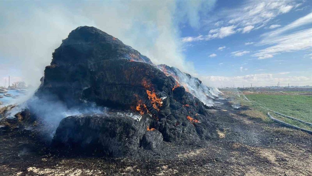 Ateş Düştüğü Yeri Yaktı: 300 Ton Hasat Alevlerle Yok Oldu