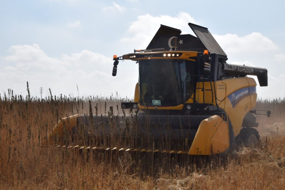 Konya Ovası'nda 'Kenevir' Hasadı: Az Suyla Yüksek Verim, Çiftçinin Gözdesi Oldu