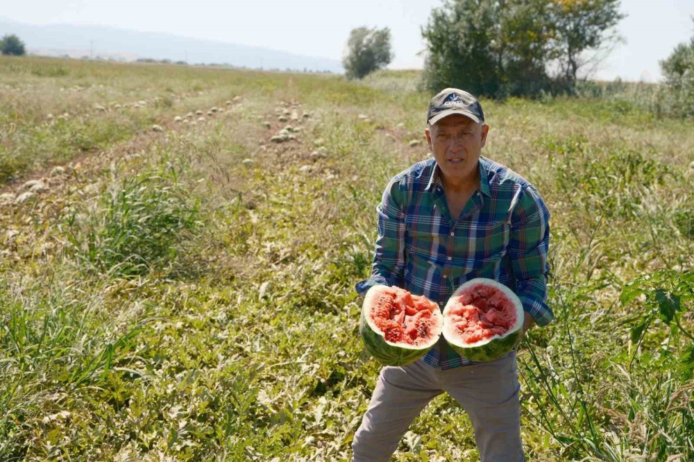 Londra'daki Kazancını Karacabey Topraklarına Yatırıyor