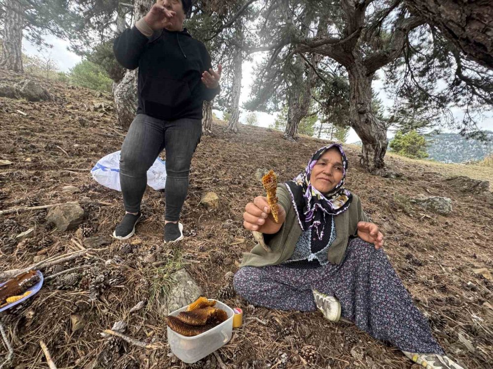 Torosların Zirvesinde "Firari Arı" Peşinde Zorlu Mesai: Kilosu 5 Bin Lira