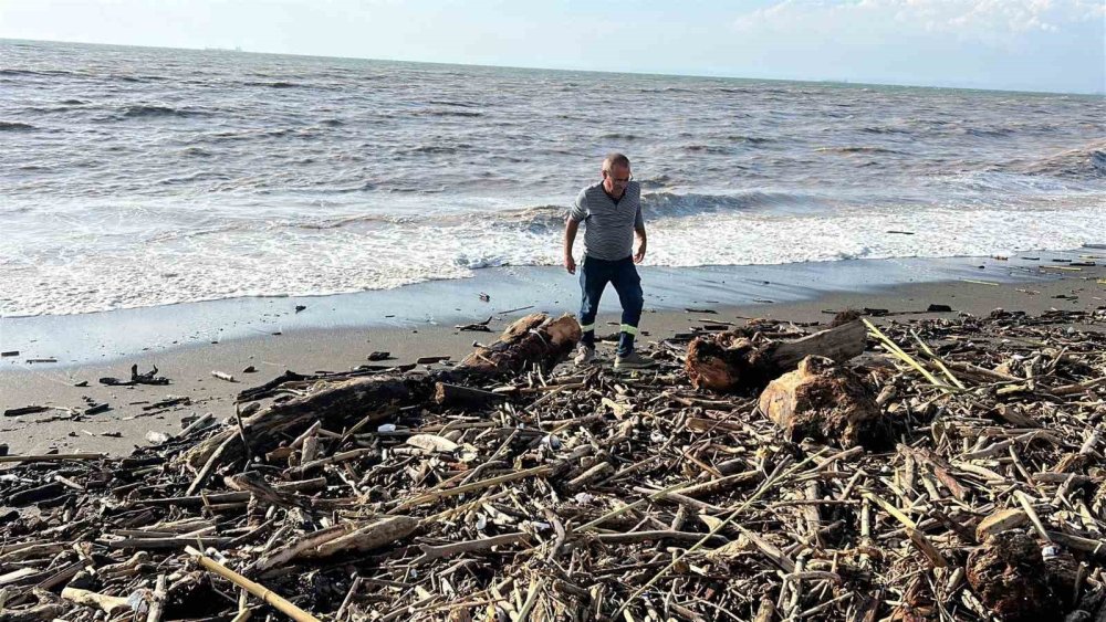 Şiddetli Yağış Akdeniz'e Kütük Taşıdı