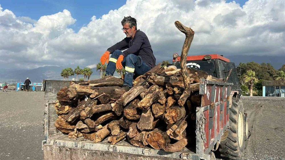 Şiddetli Yağış Akdeniz'e Kütük Taşıdı