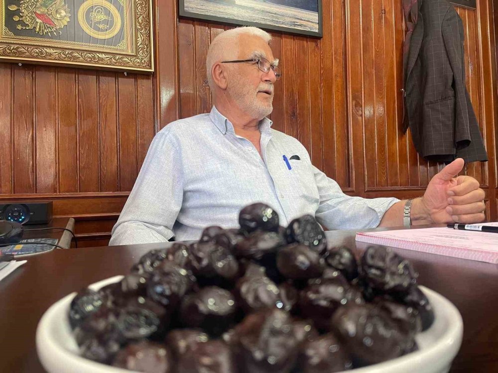 Zeytinin Kalbi Bursa'dan İsviçre'ye Uzandı