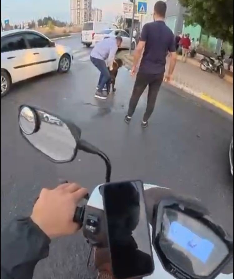 Mersin'de dehşet anları! Sahip çıkmadığı köpek saldırdı