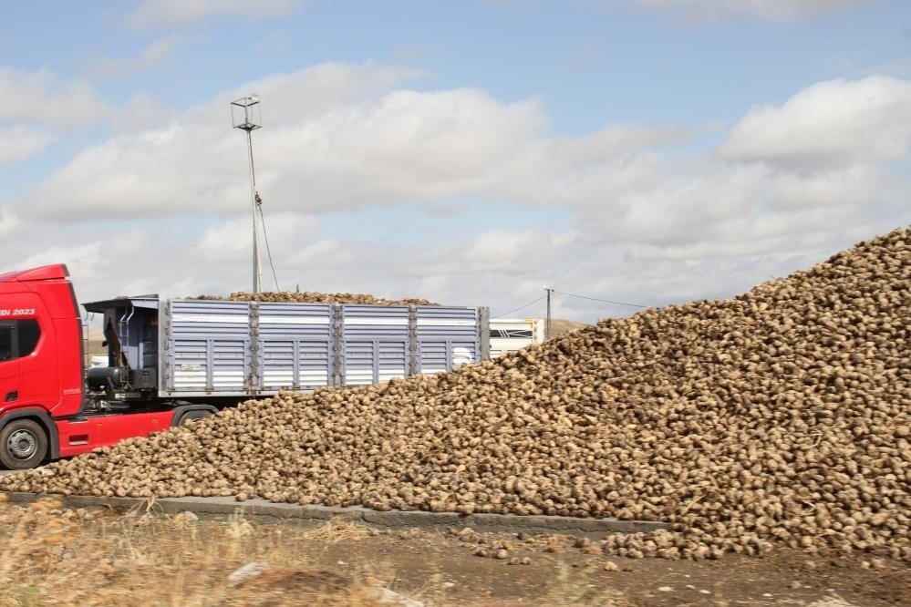 Şeker Piyasasında Sıcak Yazın Etkisi: Rekolte Düşüyor, Stoklar Güven Veriyor