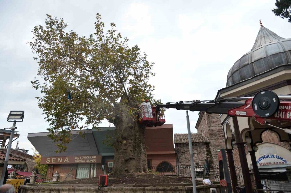Ulu Cami'nin Asırlık Tanığına Büyükşehir Desteği