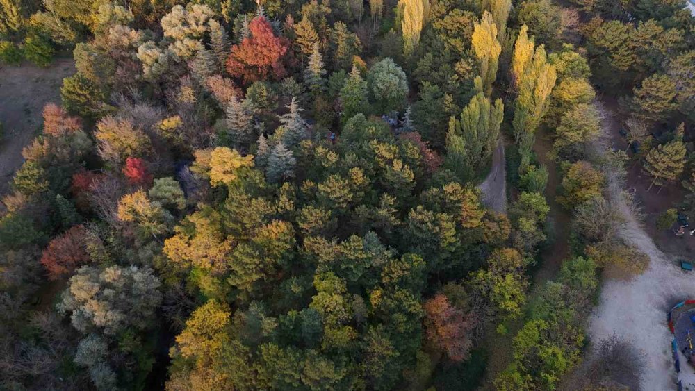 Kent sonbaharla masal kitabına döndü
