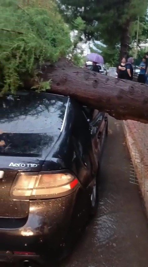 Yağış sonrası görenler Antalya'ya kar yağdı sandı
