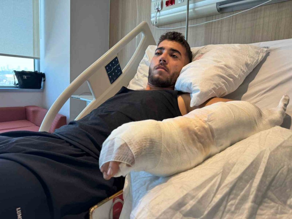 Ankara'da köpek saldırısı