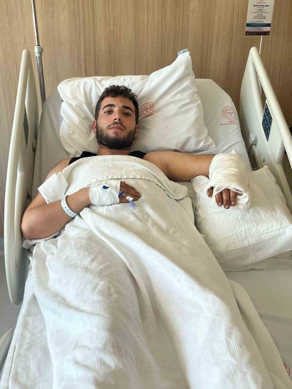 Ankara'da köpek saldırısı