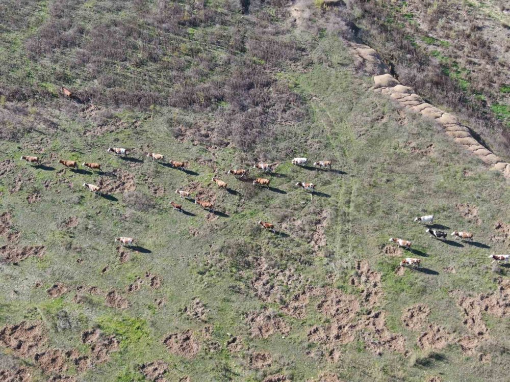 İzmir'in Can Damarı Alarm Veriyor: Tahtalı, Dibi Gördü