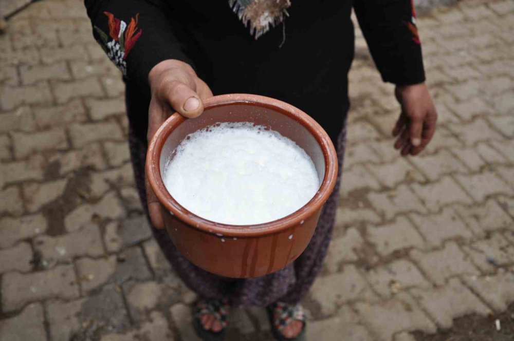 Ulukışla'nın Aylarca Dayanabilen Eşsiz Lezzeti: Keçi Yoğurdu