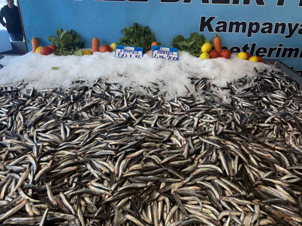 Hamsi fiyatı yüzleri güldürdü: 30 liralık düşüş