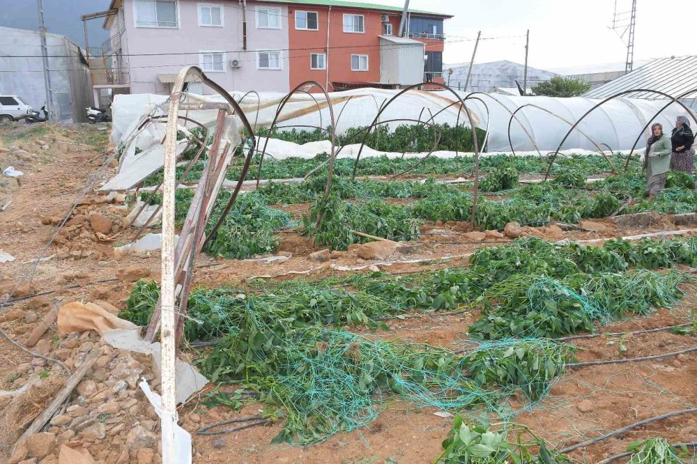 Fırtına ve hortum seraları vurdu