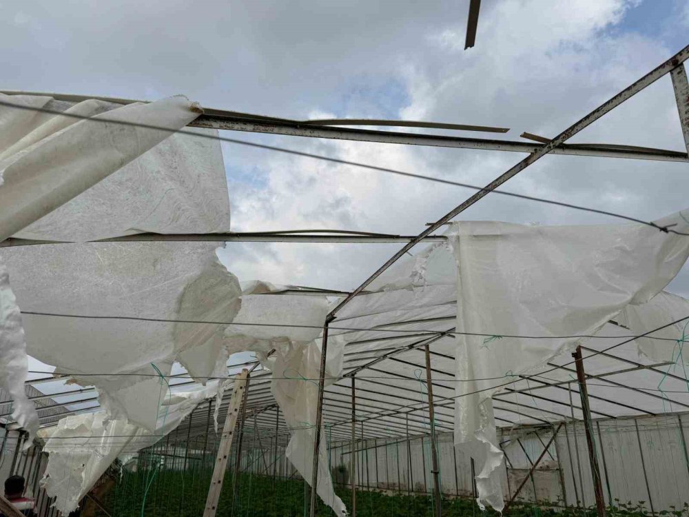 Fırtına ve hortum seraları vurdu