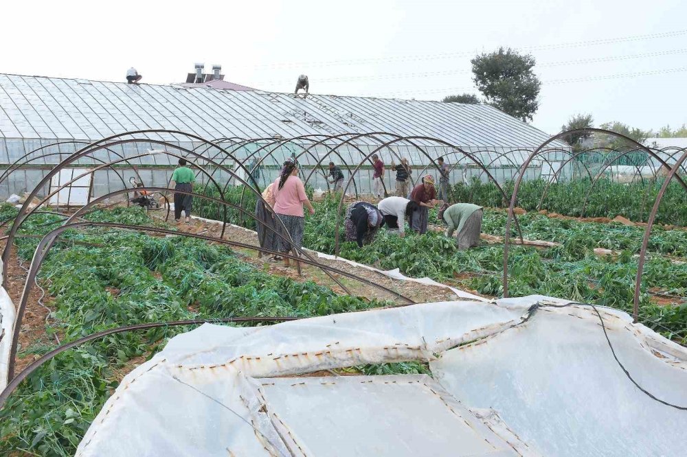 Fırtına ve hortum seraları vurdu