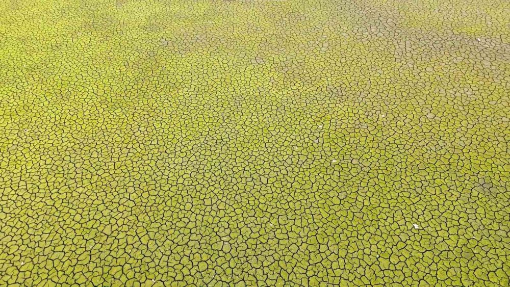 Kuraklığın izleri böyle görüntülendi