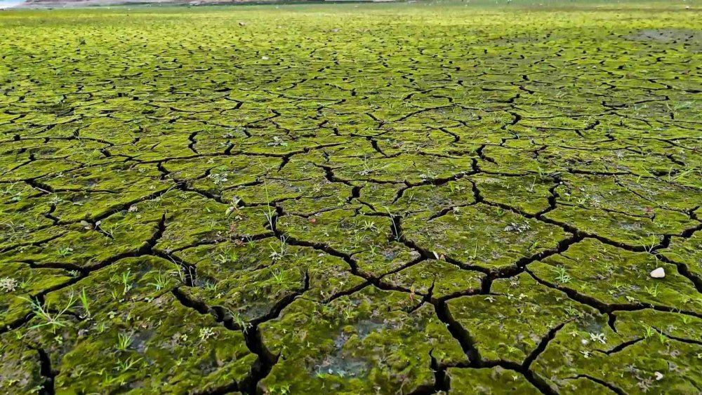 Kuraklığın izleri böyle görüntülendi