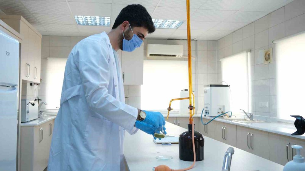 Alanya'nın Can Damarı: Kesintisiz, Kaliteli Su Garantisi!