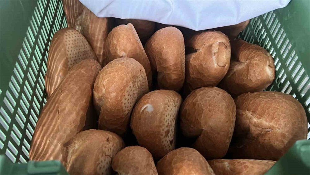 7 liraya ekmek satınca kuyruk oluştu