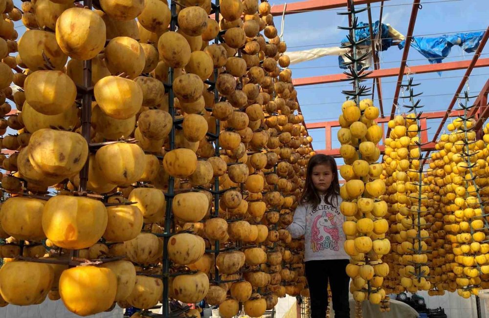 İlk kez ’Cennet Hurması Festivali’ düzenlenecek