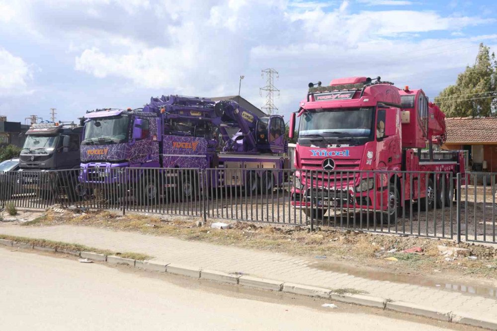 Kızı için vinci pembeye boyadı