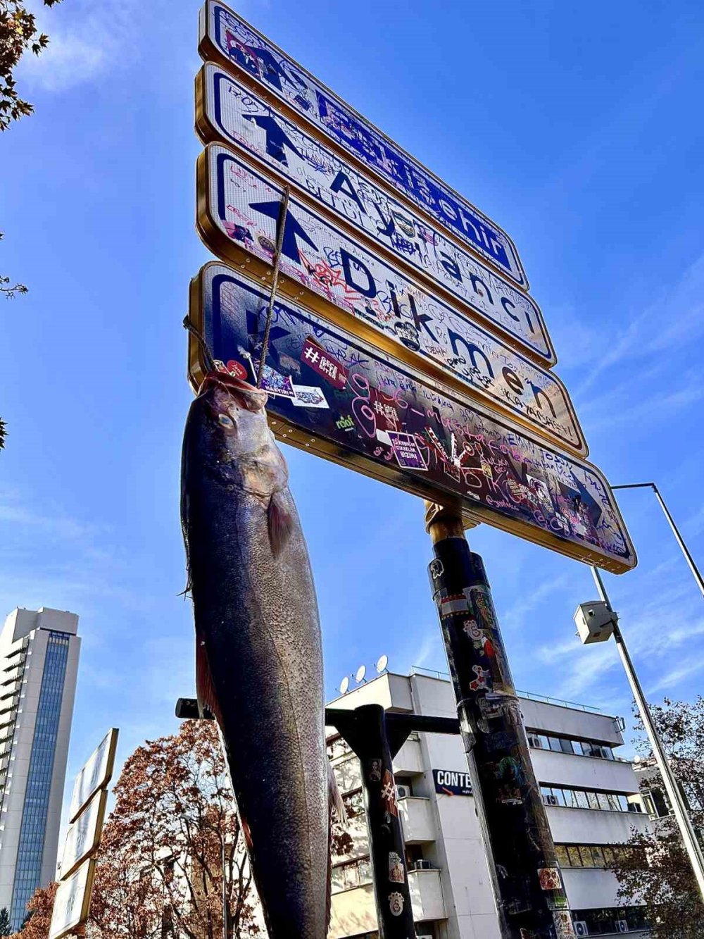 Ankara'da viral Kızılay tabelası akımına dev balık da katıldı