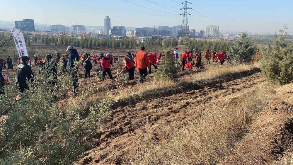 Şehit AKUT Gönüllüleri İçin Üç Ayrı Hatıra Ormanı Kuruldu