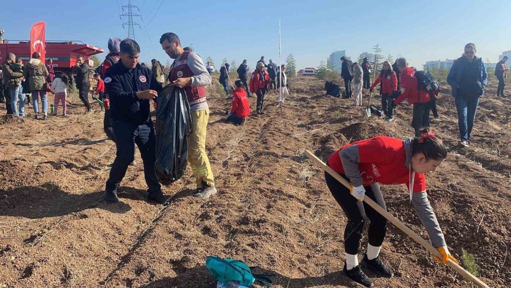 Şehit AKUT Gönüllüleri İçin Üç Ayrı Hatıra Ormanı Kuruldu