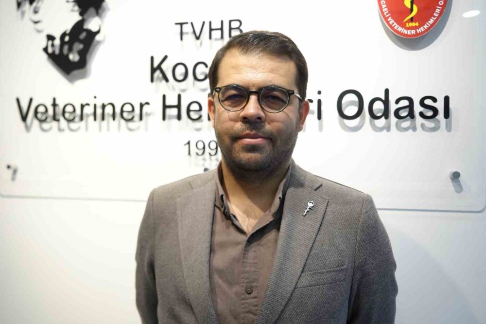 Bu köpekleri kim boyadı?