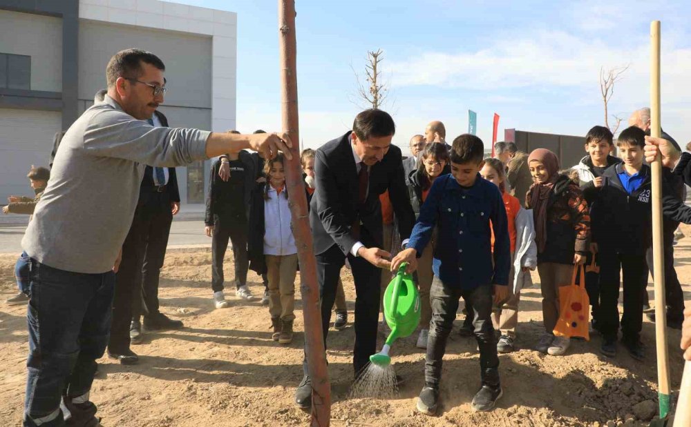 Karatay'da 10 Bin Metrekarelik Yeni Alan Yüzlerce Fidana Ev Sahipliği Yaptı