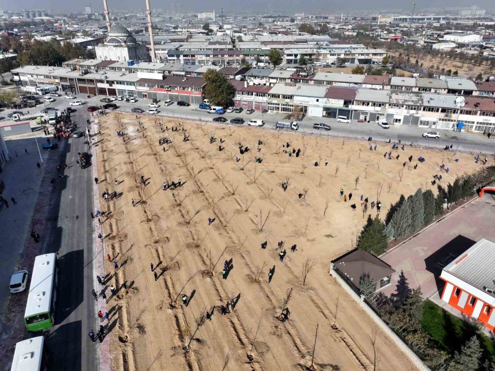 Karatay'da 10 Bin Metrekarelik Yeni Alan Yüzlerce Fidana Ev Sahipliği Yaptı