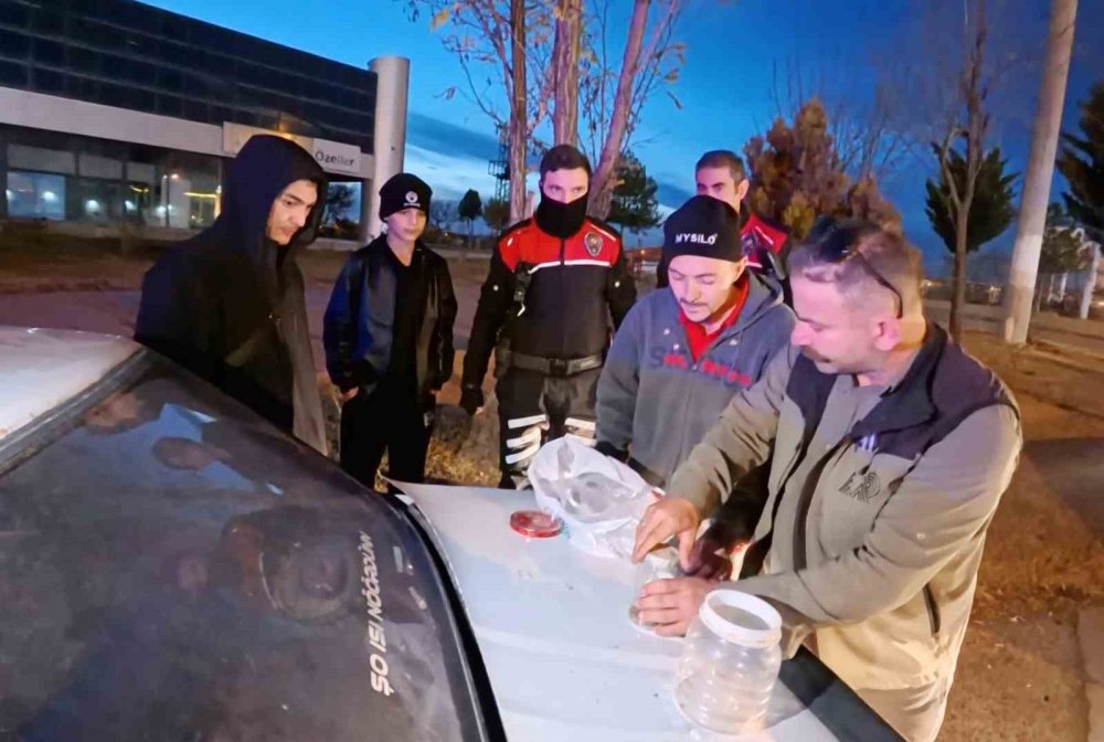 Zehri 10 Milyon Dolar: Aksaray'da Yasa Dışı Akrep Ticaretine Suçüstü!