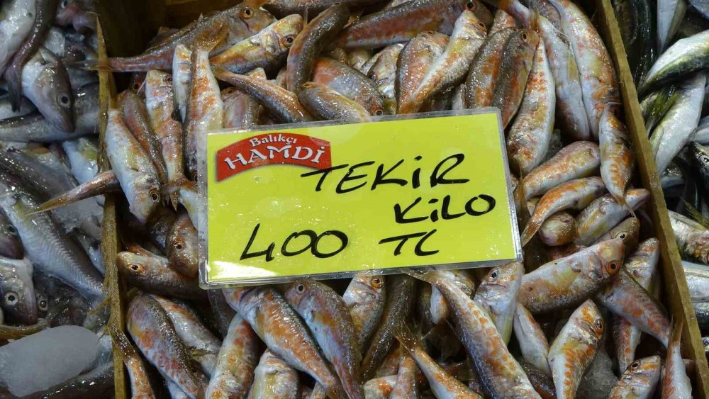 Balık tezgahlarında ürün yok çeşit çok