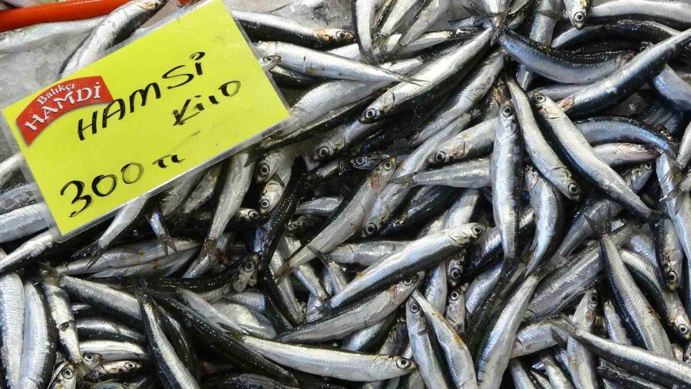 Balık tezgahlarında ürün yok çeşit çok