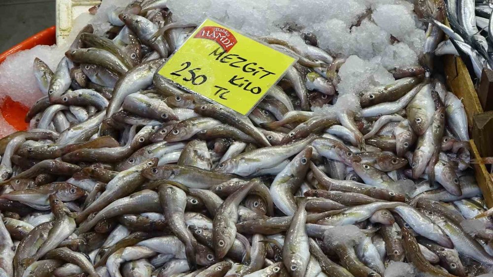 Balık tezgahlarında ürün yok çeşit çok