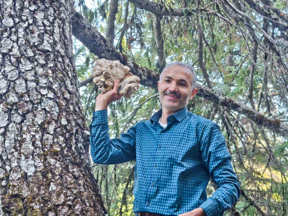 Konya ormanlarında tehlikeli av